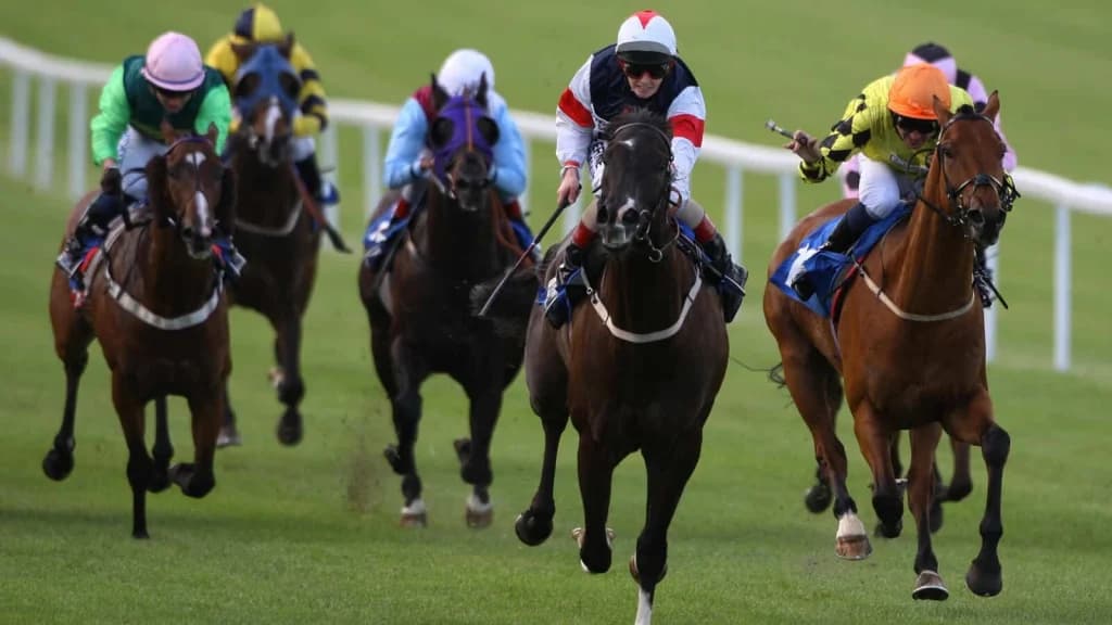 Tuesday's Horse Racing Tips: Chepstow, January 28th