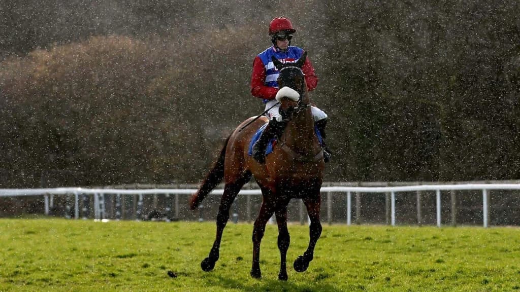 Thursday's Horse Racing Tips: Exeter, December 19th