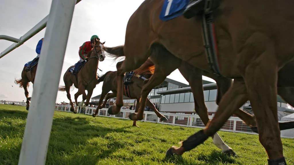 Sunday’s Horse Racing Tips: Exeter, November 20th