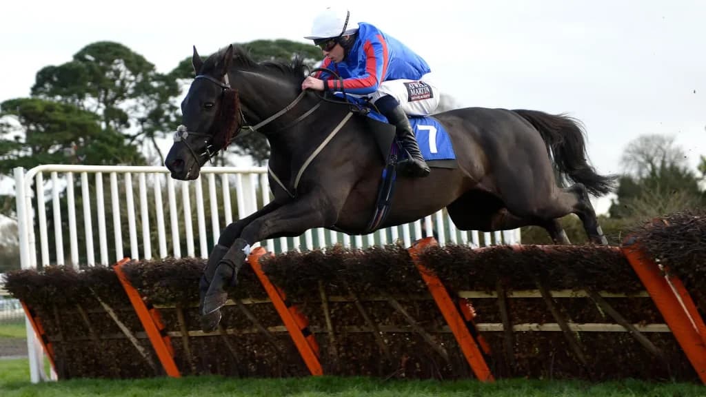 Tuesday's Horse Racing Tips: Fontwell, December 10th