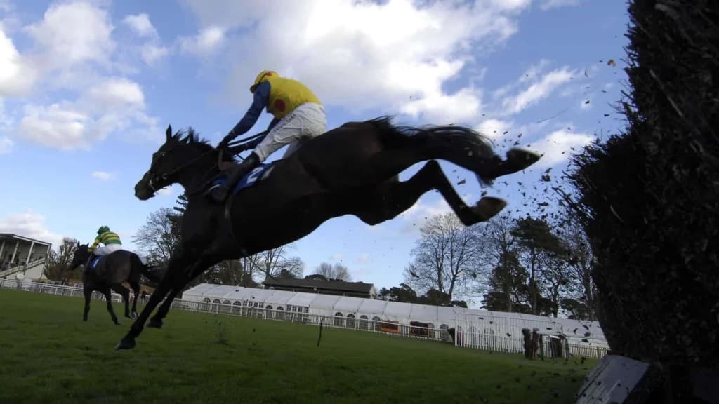 Wednesday's Racing tips: Fontwell, Kelso and Warwick - May 7th