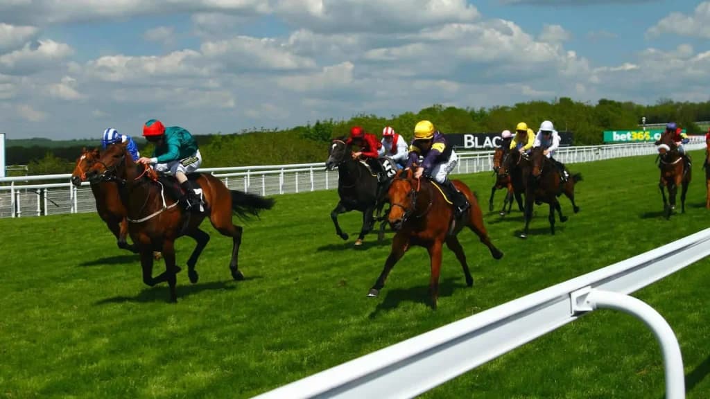 Wednesday's Horse Racing Tips: Goodwood, July 31st