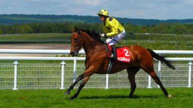 Saturday’s Horse Racing Tips: Goodwood, Newmarket,  August 3rd