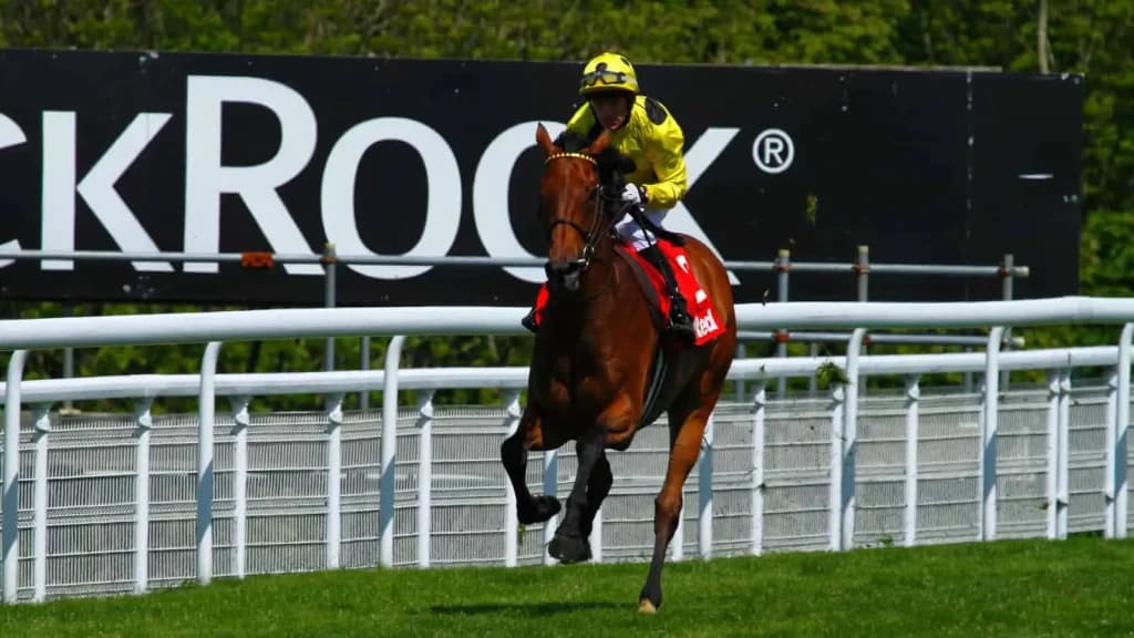 Tuesday's Horse Racing Tips: Goodwood, September 3rd