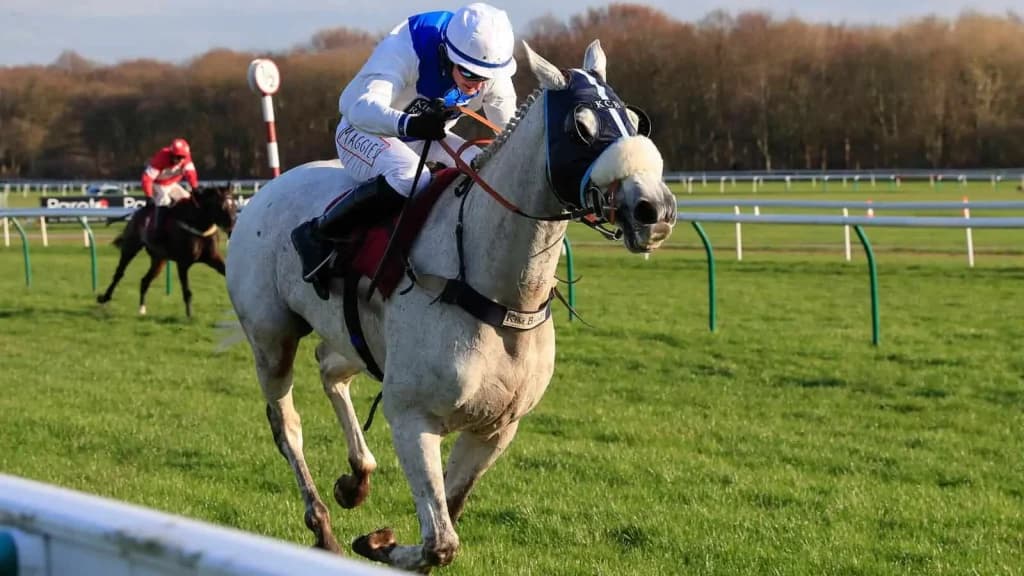 Saturday’s Horse Racing Tips: Haydock, Ascot, Kempton, September 7th