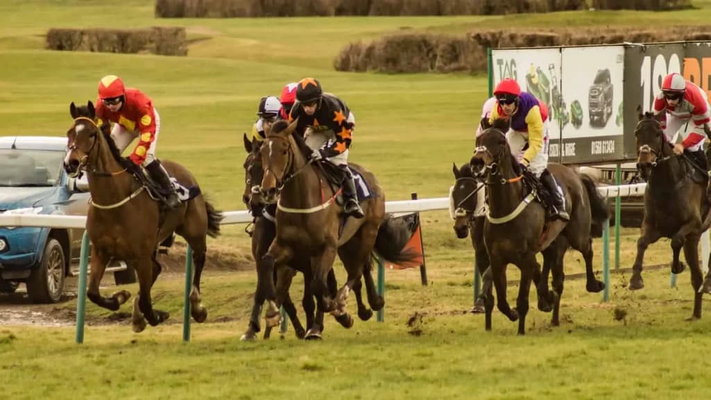 Wednesday's Horse Racing Tips: Hereford, December 11th