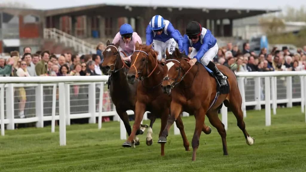 Friday's Horse Racing Tips: Newbury, November 29th
