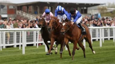 Friday's Horse Racing Tips: Newbury, November 29th