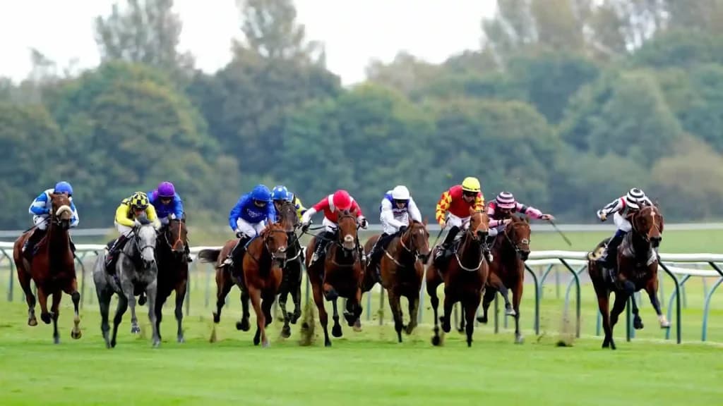 Tuesday's Horse Racing Tips: Nottingham, August 13th