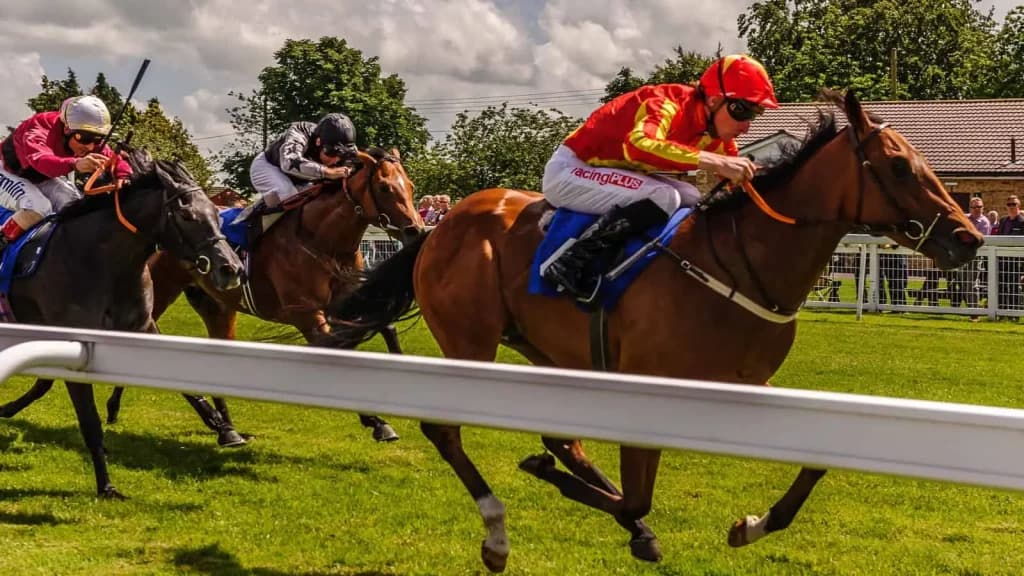 Thursday's Horse Racing Tips: Salisbury, October 3rd