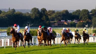 Friday’s Horse Racing Tips: Sandown, December 8th