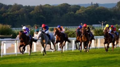 Sunday’s Horse Racing Tips: Sandown, November 12th