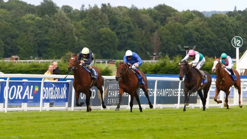 Sunday’s Horse Racing Tips: Sandown, November 10th