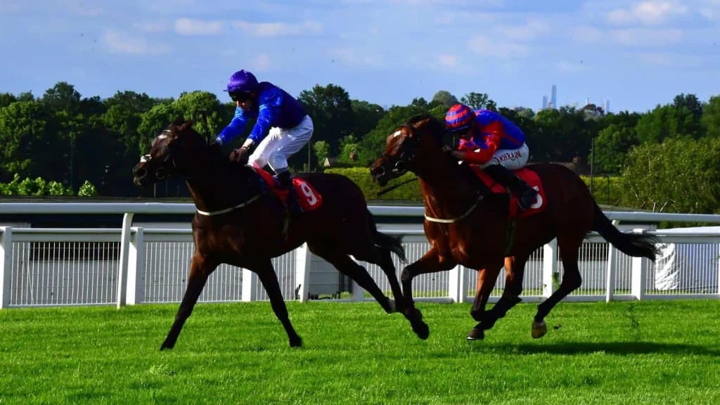 Saturday’s Horse Racing Tips: Sandown, Musselburgh, February 1st