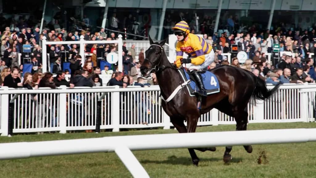 Thursday's Horse Racing Tips: Stratford, October 31st