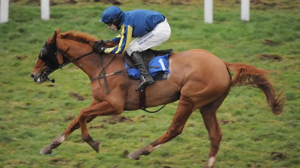Thursday's Horse Racing Tips: Taunton, December 12th