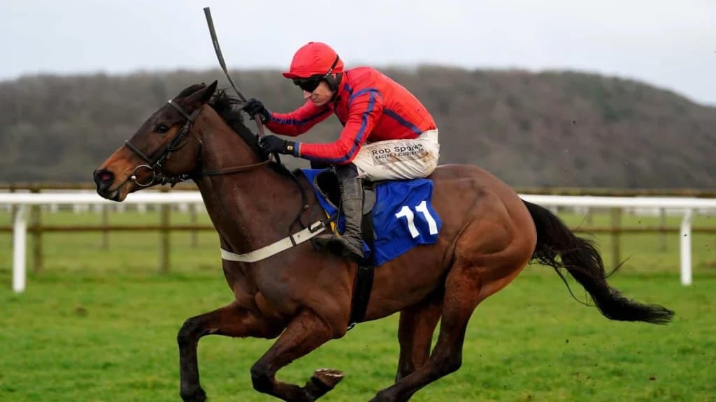 Tuesday's Horse Racing Tips: Taunton, March 25th