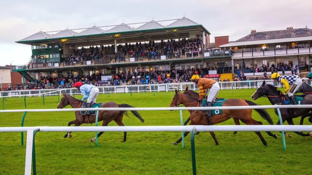 Tuesday's Horse Racing Tips: Warwick, November 5th