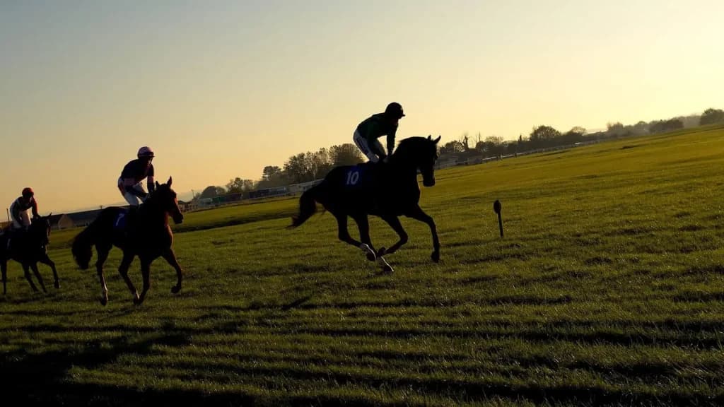 Saturday’s Horse Racing Tips: Wincanton, Doncaster, Aintree, November 9th