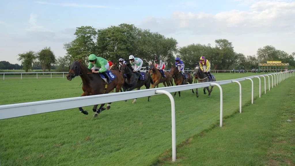 Friday's Horse Racing Tips: Windsor, January 17th
