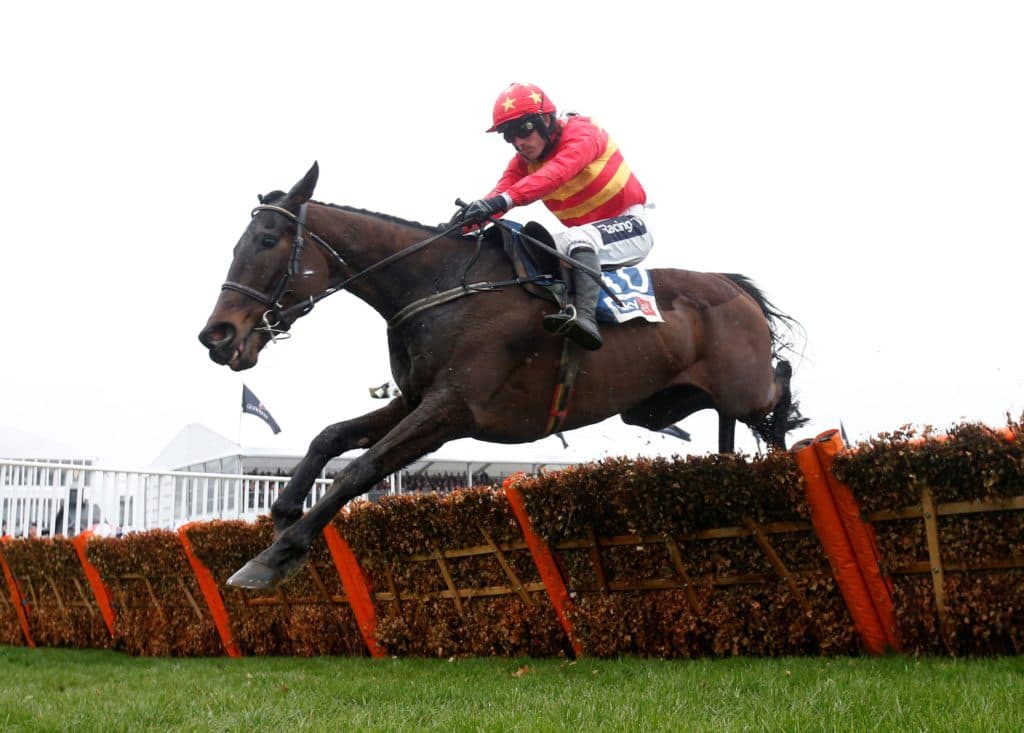 Cheltenham Stayers Hurdle Odds: Ante Post Tips, Preview