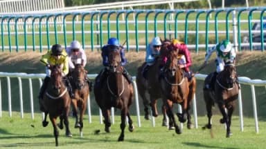 Sunday’s Horse Racing Tips: Lingfield, January 21st