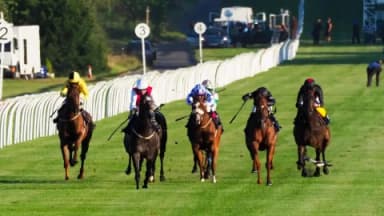 Monday’s Horse Racing Tips: Lingfield, December 11th
