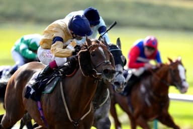 Today's Horse Racing Tips: Wednesday December 8th