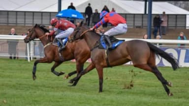 Wednesday’s Horse Racing Tips: Ludlow, December 6th