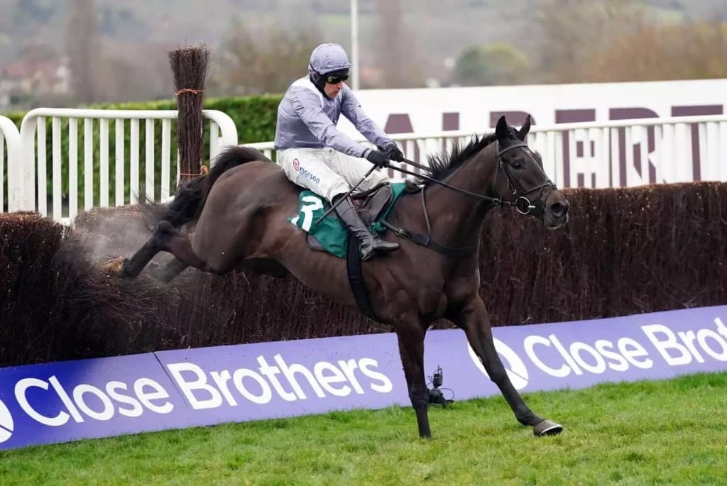10 Jumpers to Follow Autumn 2022: Best Horses to Back this National Hunt Season