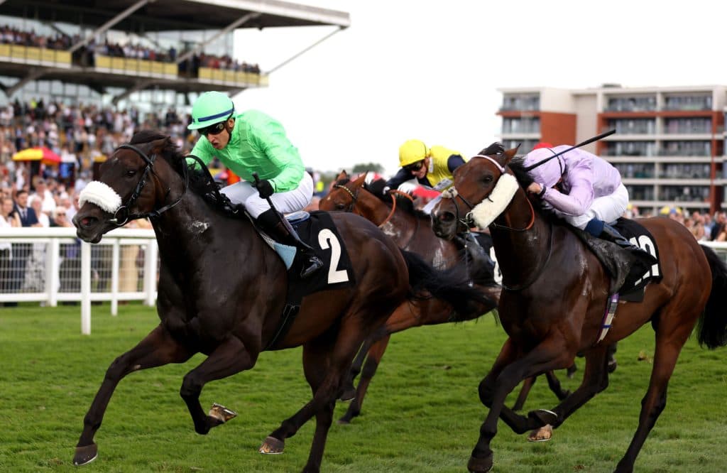 Saturday's Horse Racing Tips: February 12th