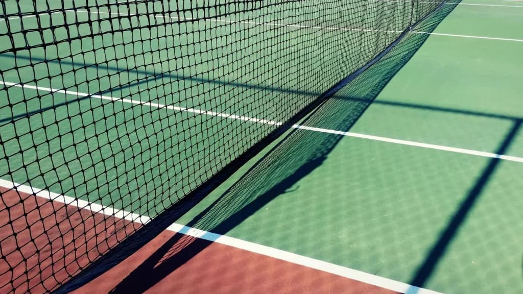 Monday Tennis Best Bet: WTA Cincinnati, Leylah Fernandez vs Ekaterina Alexandrova