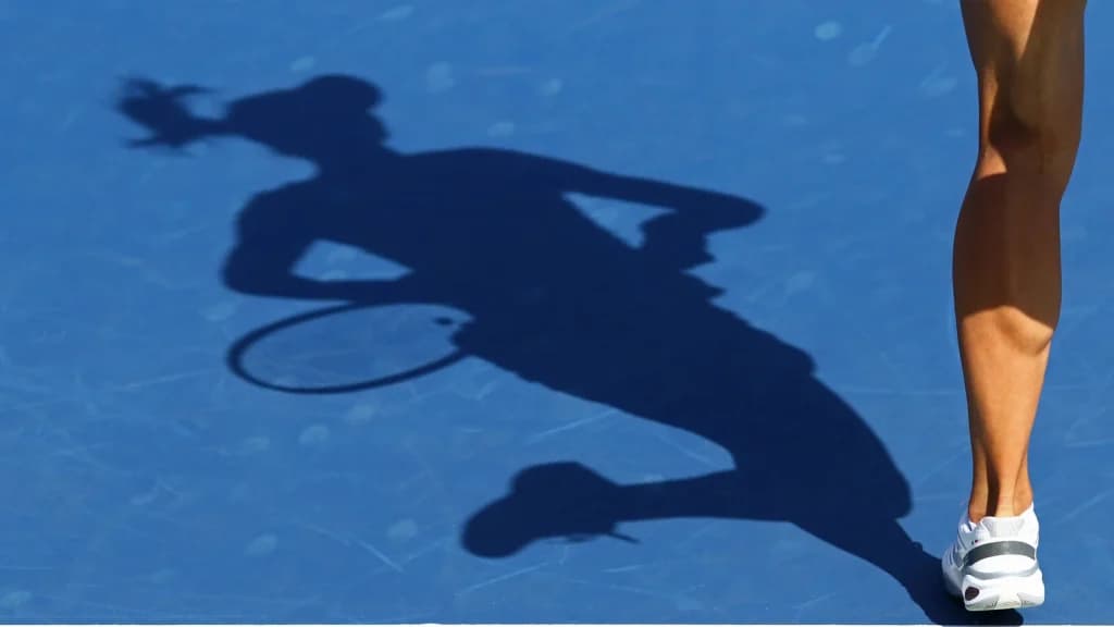 Zheng vs Fernandez Prediction February 14th, H2H, Stats, Preview