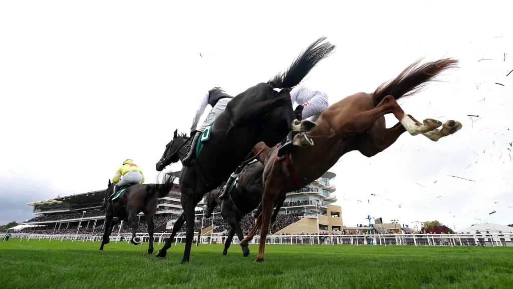 Saturday’s Horse Racing Tips: Cheltenham, Doncaster, January 25th