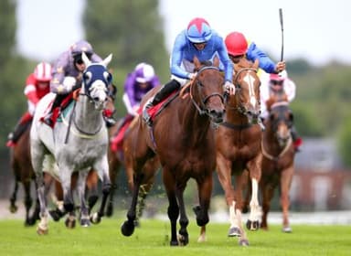 Today's Horse Racing Tips: Friday December 3rd