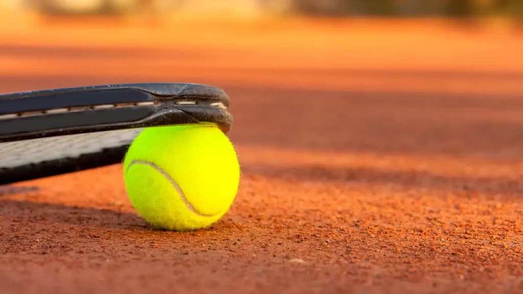 Tuesday Tennis Bet: Szczecin Challenger, Alexander Shevchenko vs Manuel Guinard