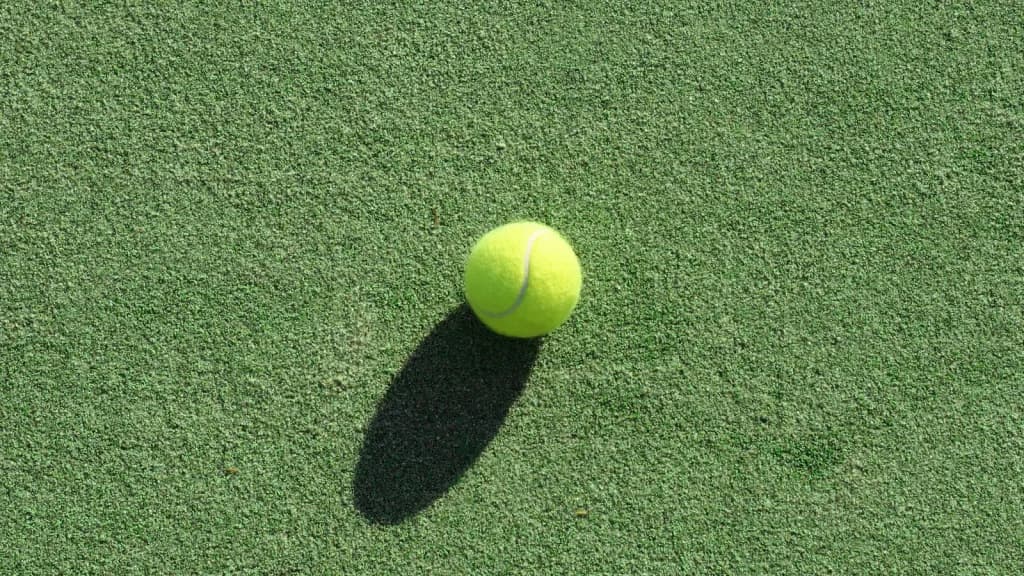 Ella Seidel vs Carole Monnet Prediction, Stats, Form, H2H, 12/9/24