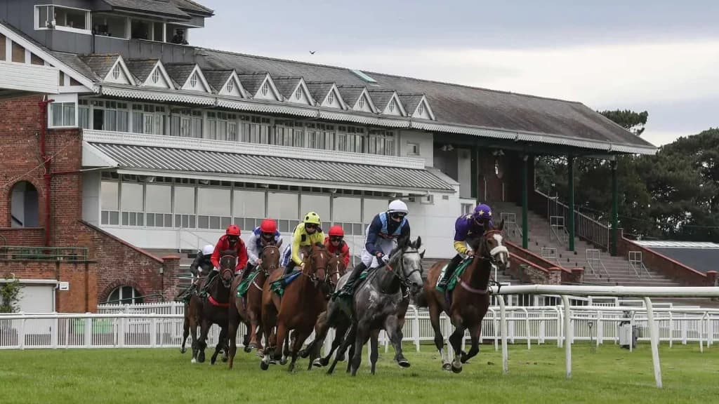 Wednesday's Horse Racing Tips: Thirsk, July 17th