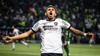 Palmeiras vs. Botafogo: Thrilling 2-2 Draw Sends Botafogo to Copa Libertadores Quarter