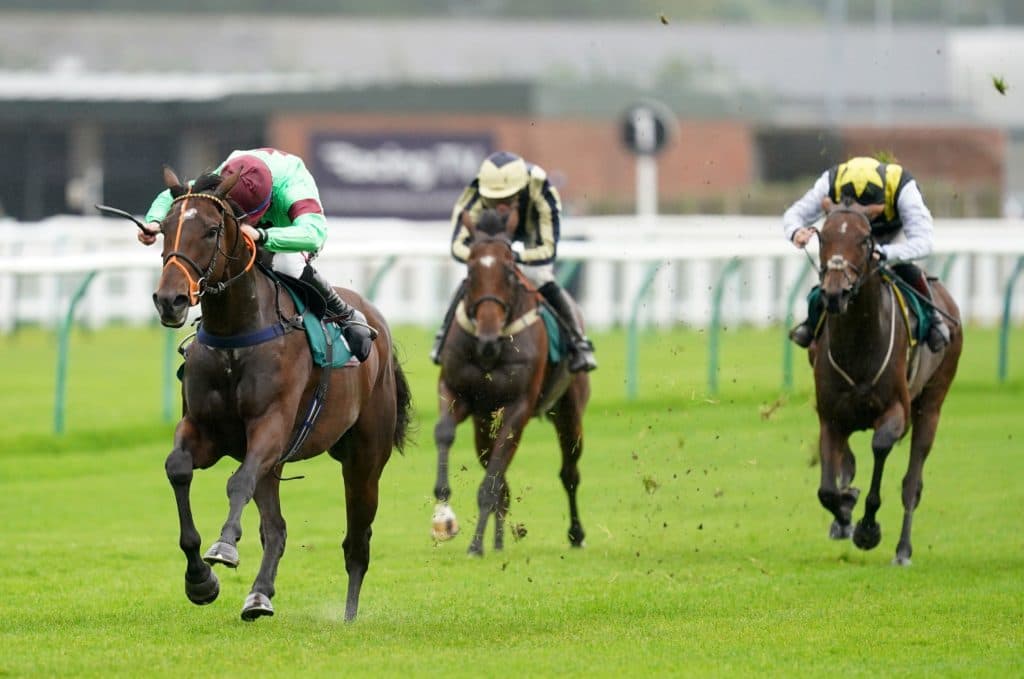 Today's Horse Racing Tips: Thursday December 9th
