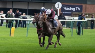 Monday's Horse Racing Tips: Warwick, January 22nd