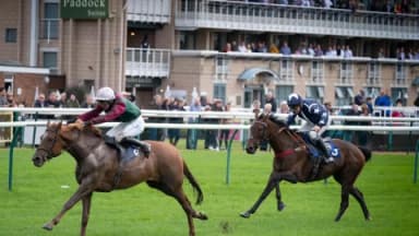 Thursday's Horse Racing Tips: Warwick, April 4th