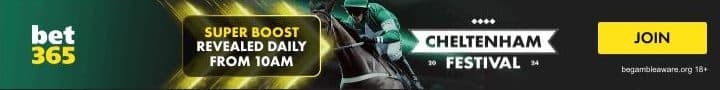 bet365 cheltenham 2024