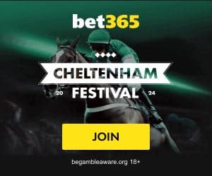 bet365 cheltenham 2024