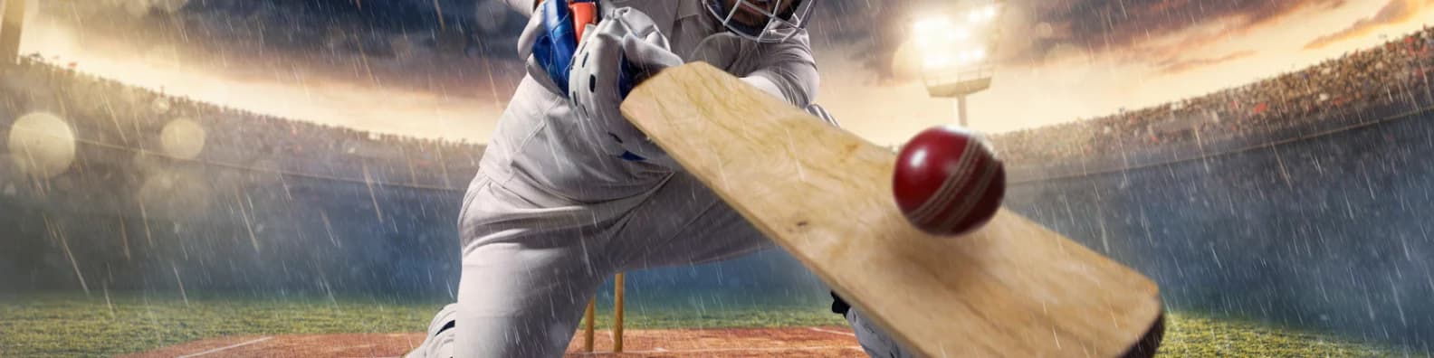 Cricket