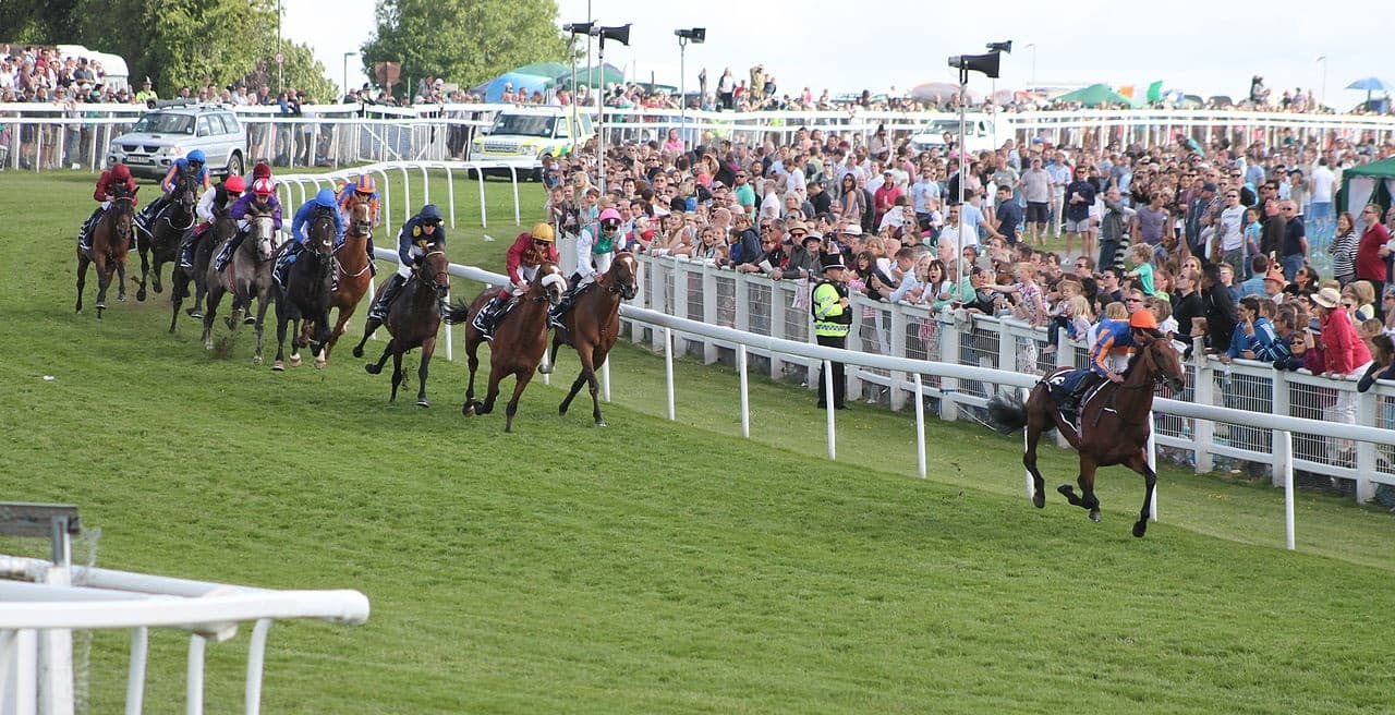 Best Bookmakers For horse racing
