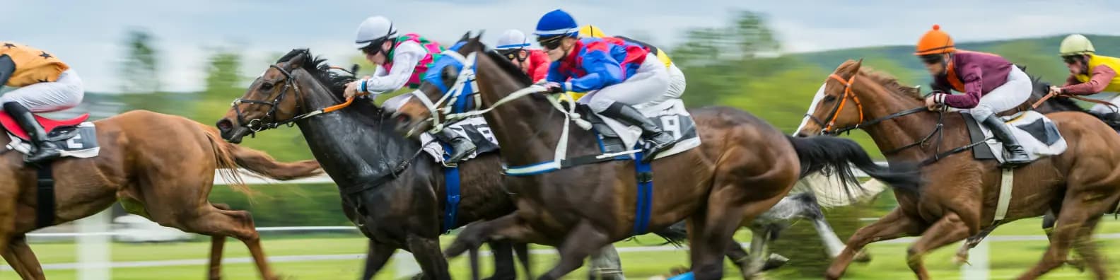 Horse Racing