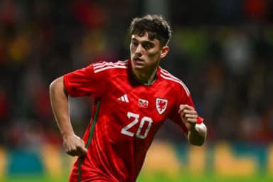 Wales vs Finland Prediction: Team News and Lineups Preview