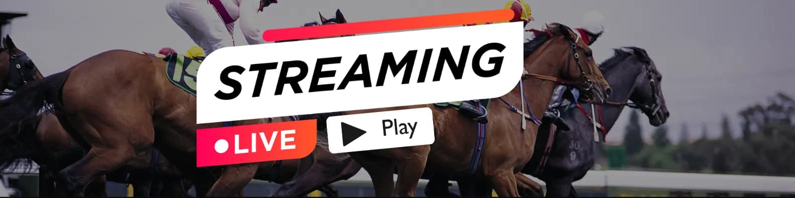Paddy Power Live Streaming