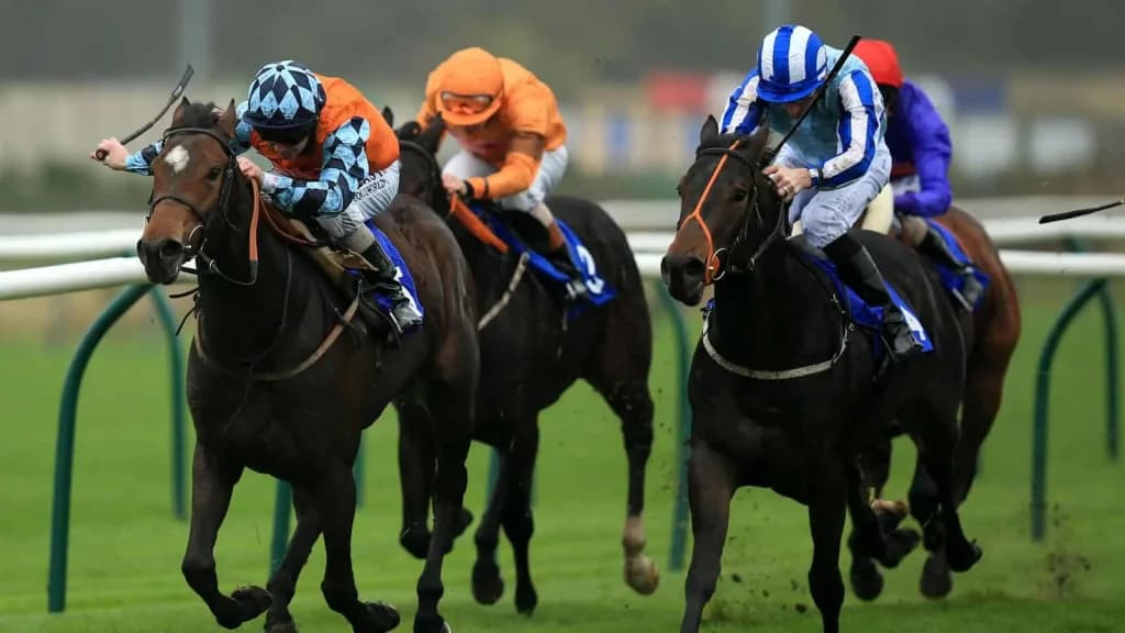 Wednesday's Horse Racing Tips: Nottingham, June 5th